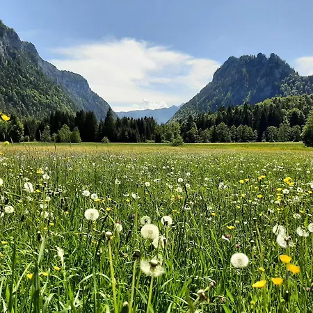 Im Griachalgarten - Chiemgau Karte Lejlighed Inzell
